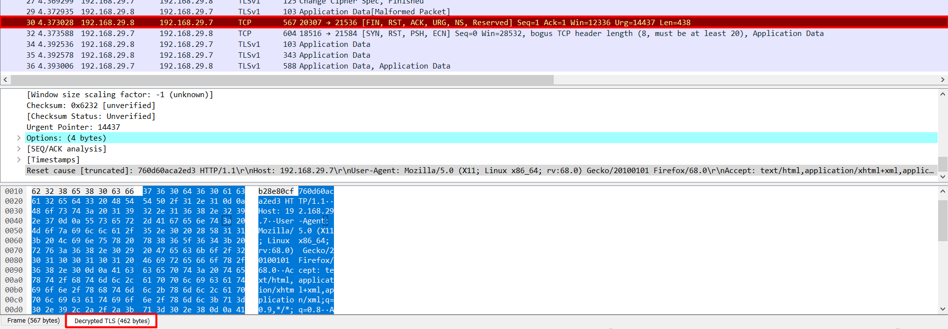 Wireshark packets